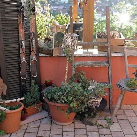Ferienwohnung Im Paradies Momlingen 外观 照片