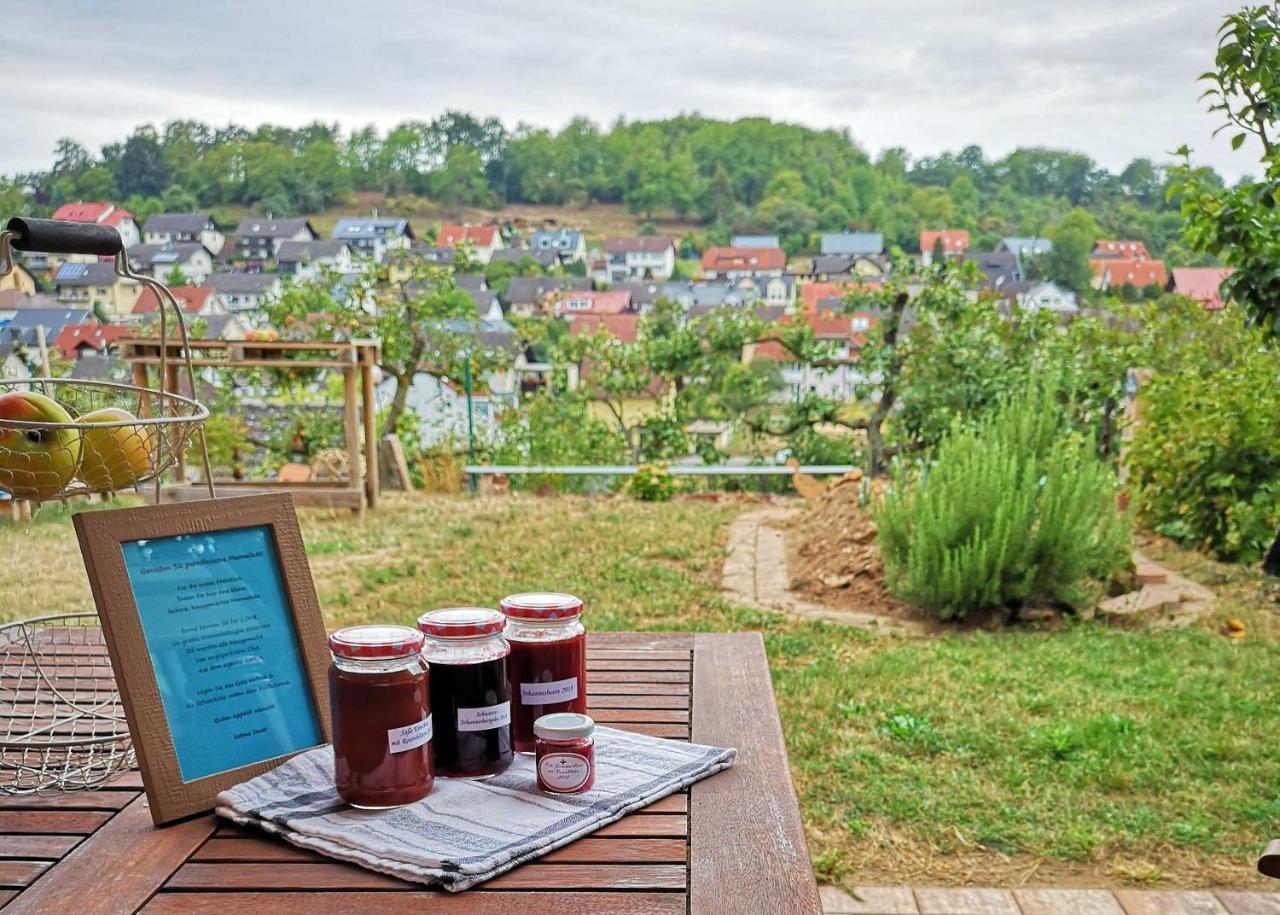 Ferienwohnung Im Paradies Momlingen 外观 照片